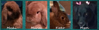 photo ed676688-4192-41b3-8d0b-3e8653c4f3c9_zpscb0053a3.png