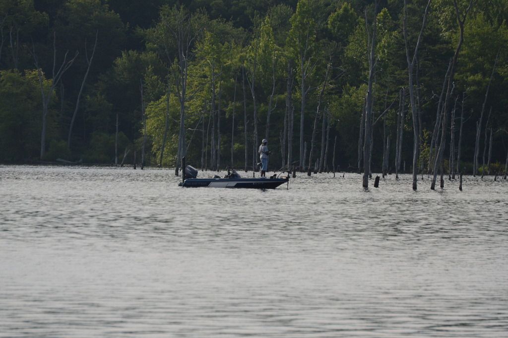i1056.photobucket.com/albums/t362/Brian_J_McCulley/South%20Jersey%20Hook%20This/2015-07-11%20SJHT%20at%20Manasquan%20Reservoir/DSC_0016_zpsopfibrjv.jpg