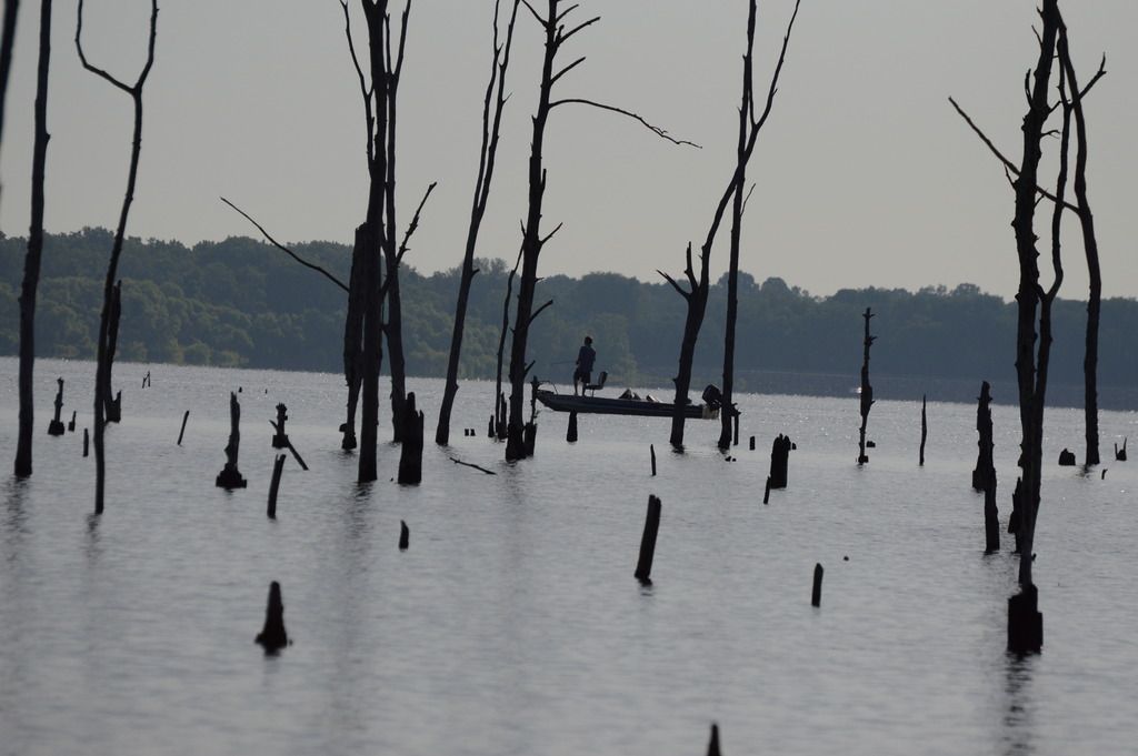 i1056.photobucket.com/albums/t362/Brian_J_McCulley/South%20Jersey%20Hook%20This/2015-07-11%20SJHT%20at%20Manasquan%20Reservoir/DSC_0031_zpsahuubpa3.jpg