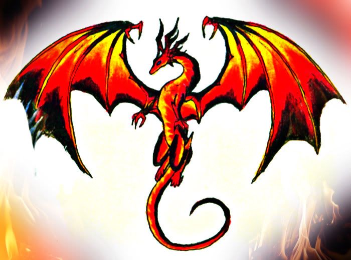 7077_dark-dragon-spirit_logo.jpg