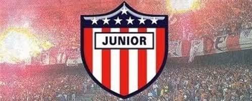 Imagen enviada