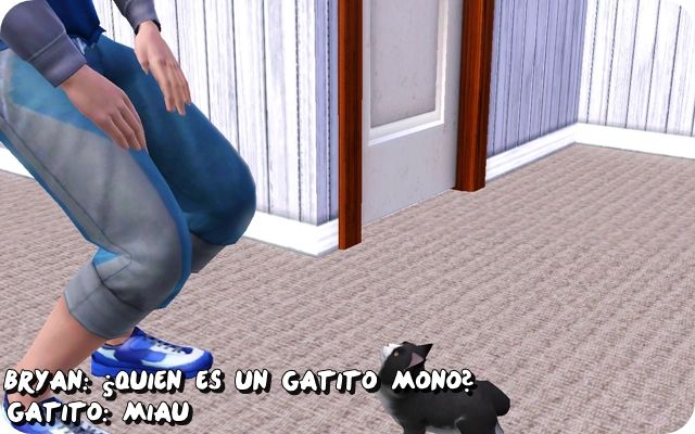 Imagen