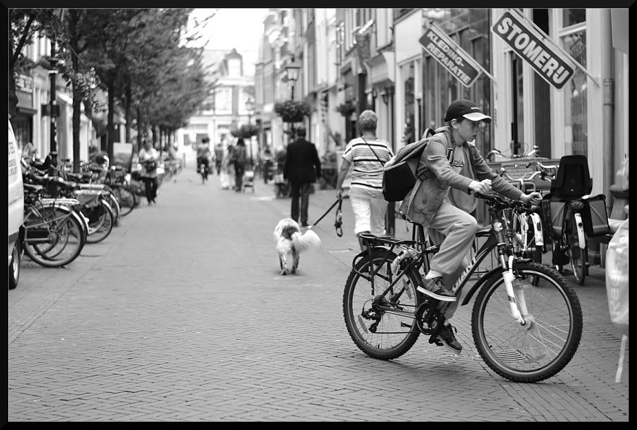 Fotografie