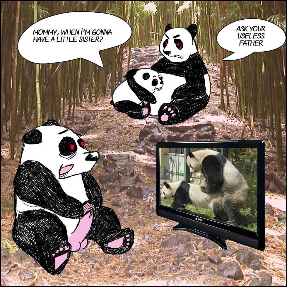 Panda Porn