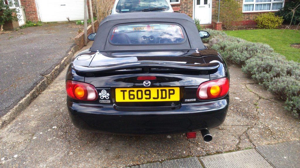 DSC_1384_zps2jsw42es.jpg