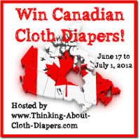 Canada Day Cloth Diaper Giveaway
