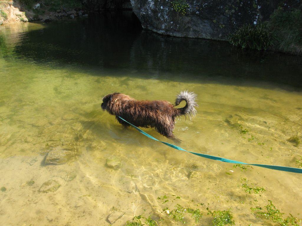 Image Image