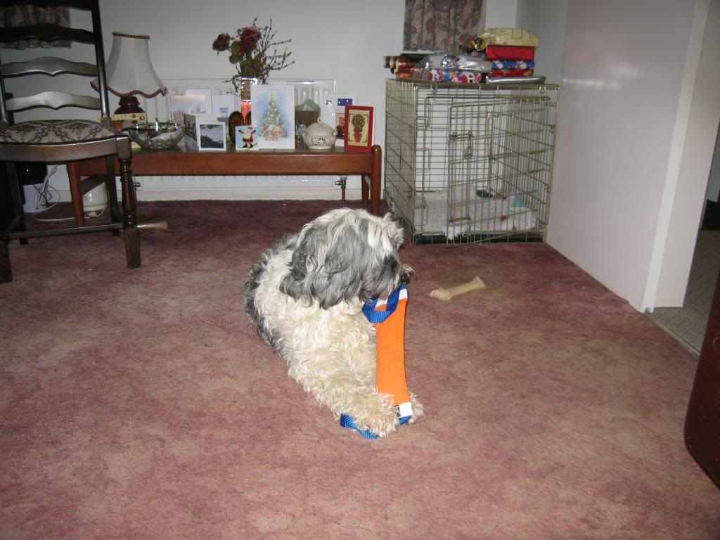 Image Image