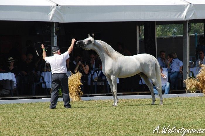 Obrazek