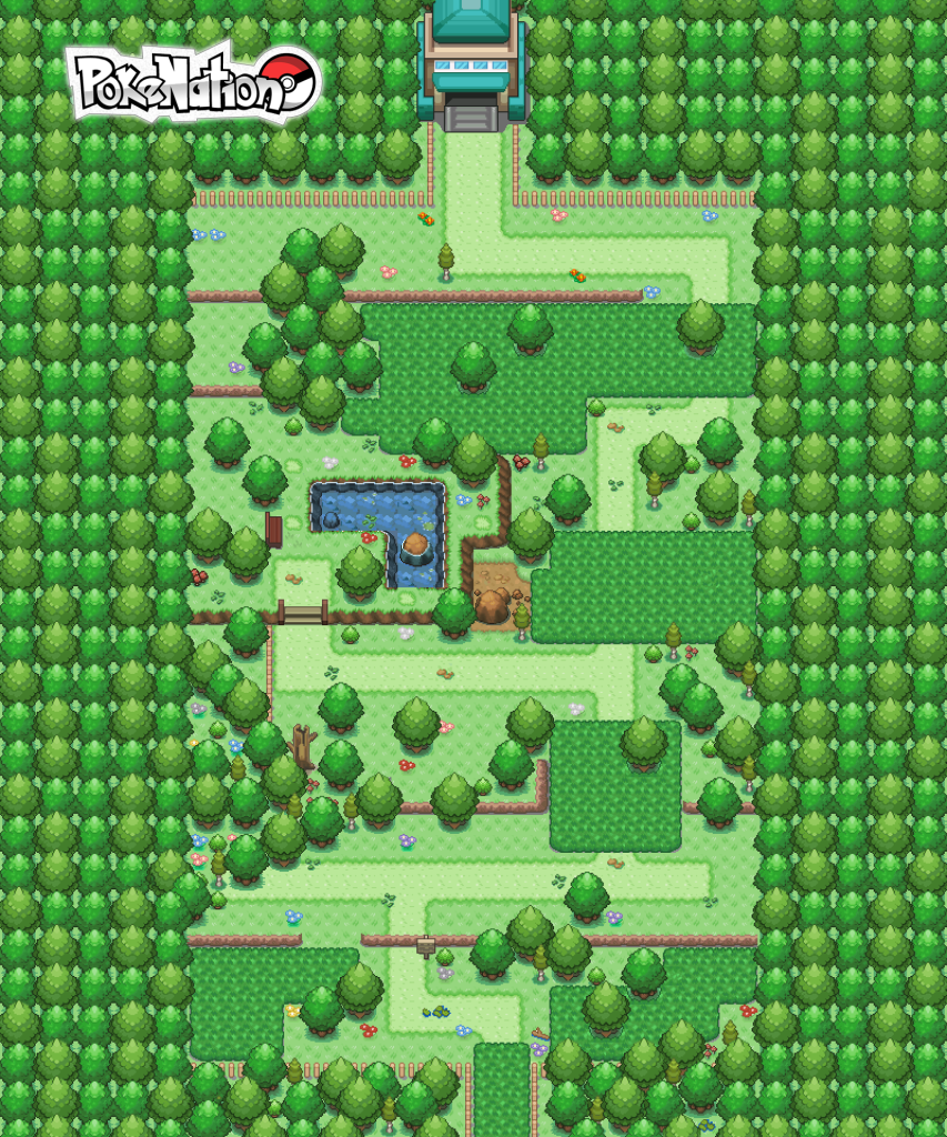 route15.png