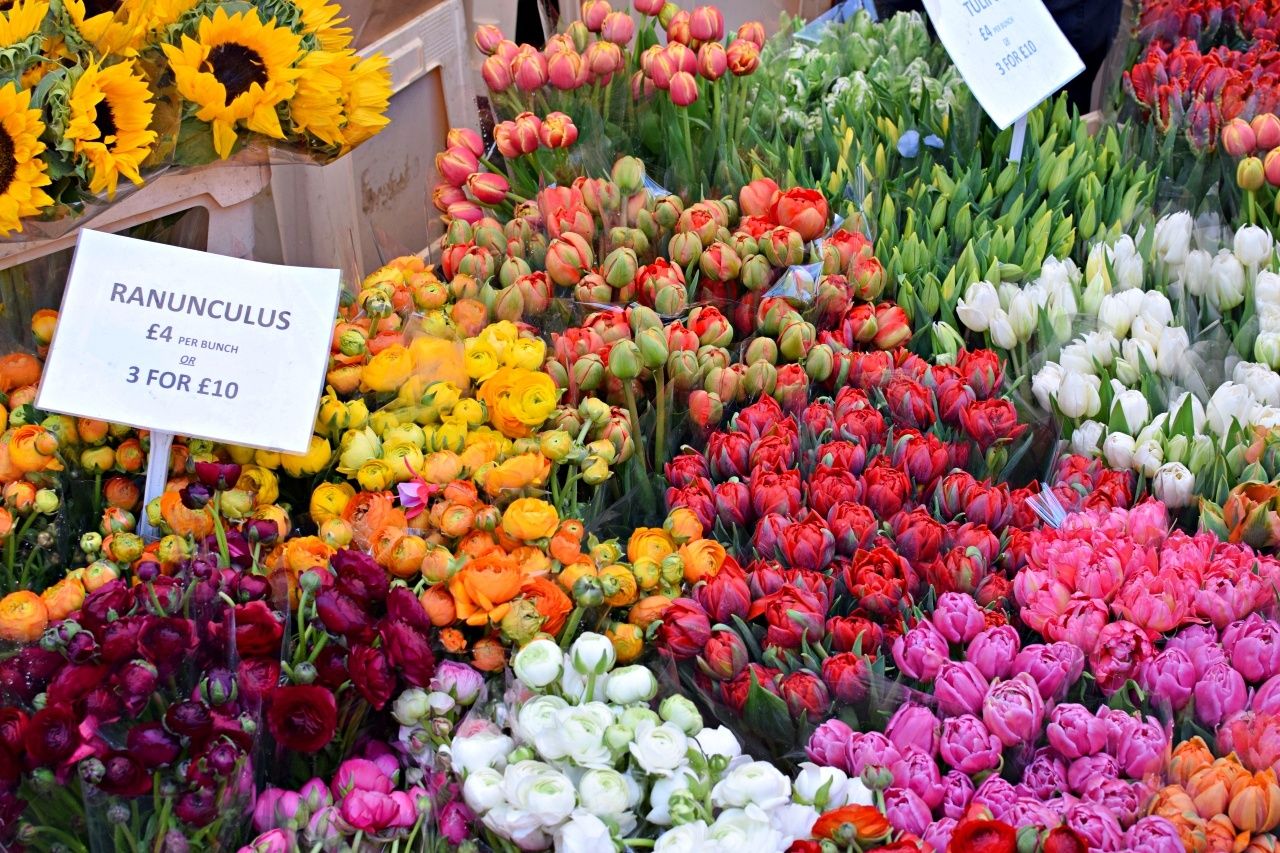 columbia road flower market