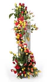 Florist in Jaipur, Send Elite Hampers 1