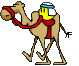 Image result for smiley with camel