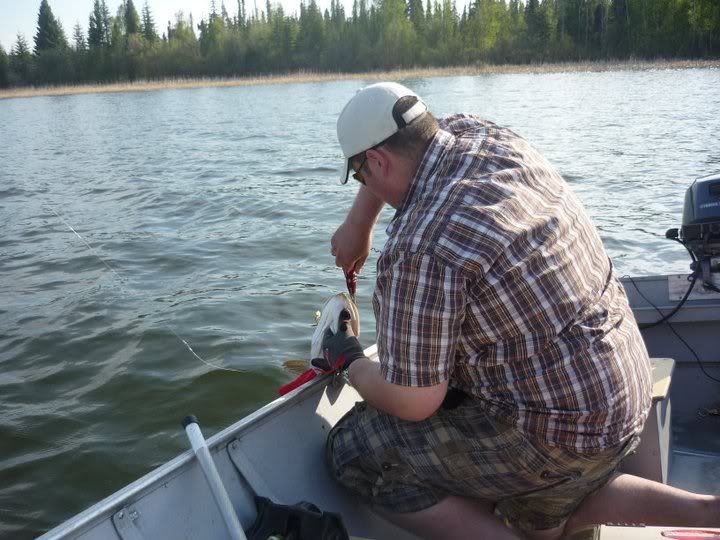 Winefred Lake (Last May Long) (Pics) Alberta Outdoorsmen Forum