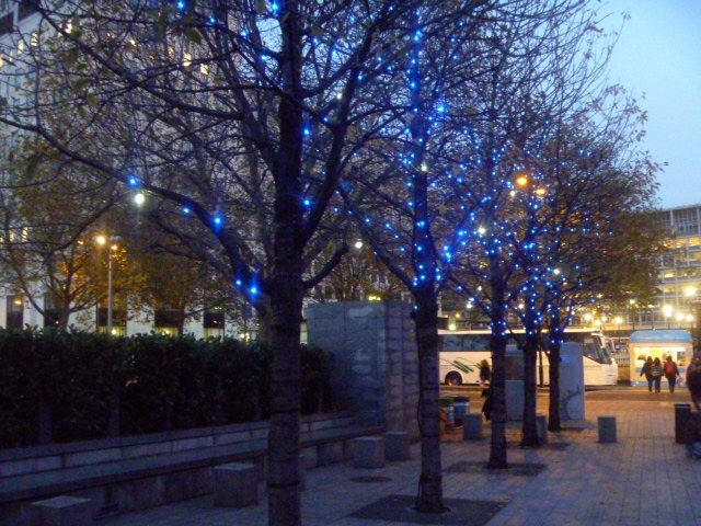 fairy light trees