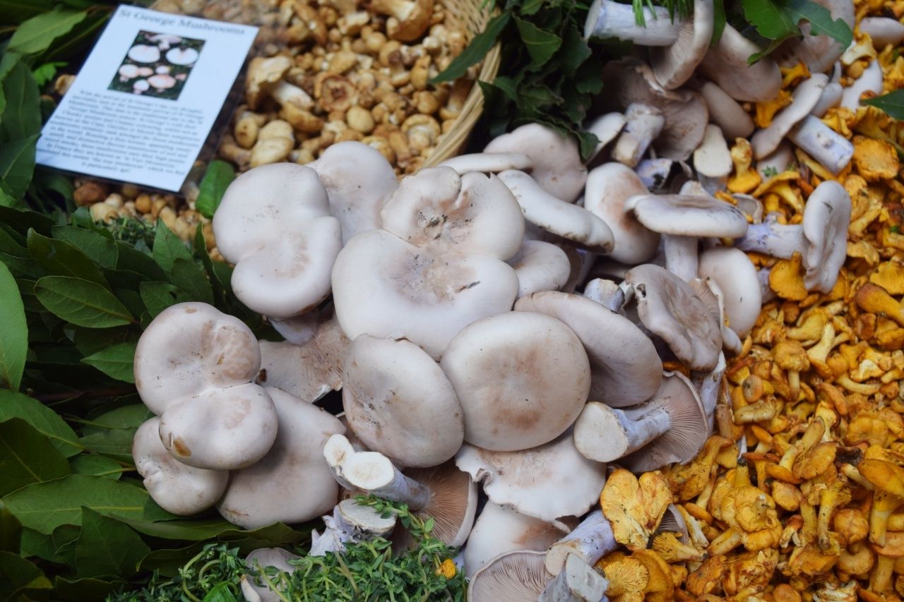 Mushrooms Borough Market London | The LDN Diaries