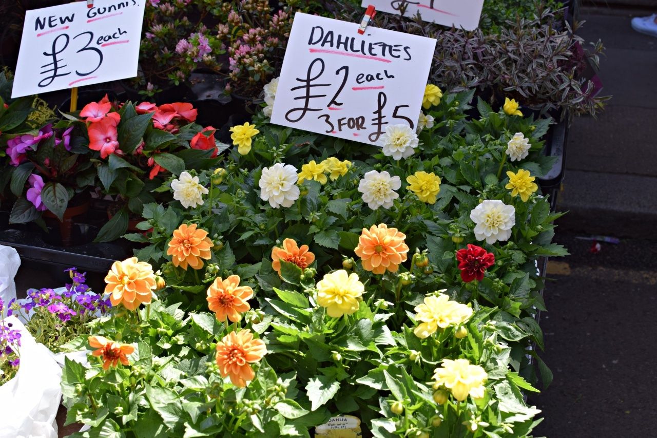 columbia road flower market