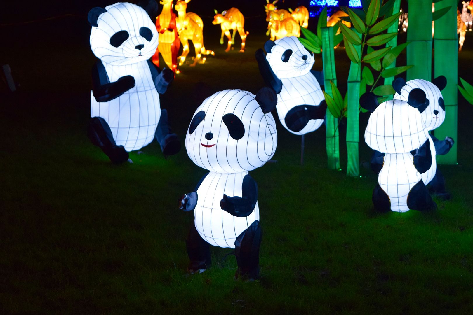 Pandas at Magical Lantern festival Chiswick | The LDN Diaries
