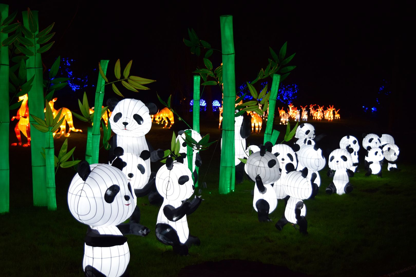 pandas Magical Lantern Festival Chiswick | The LDN Diaries