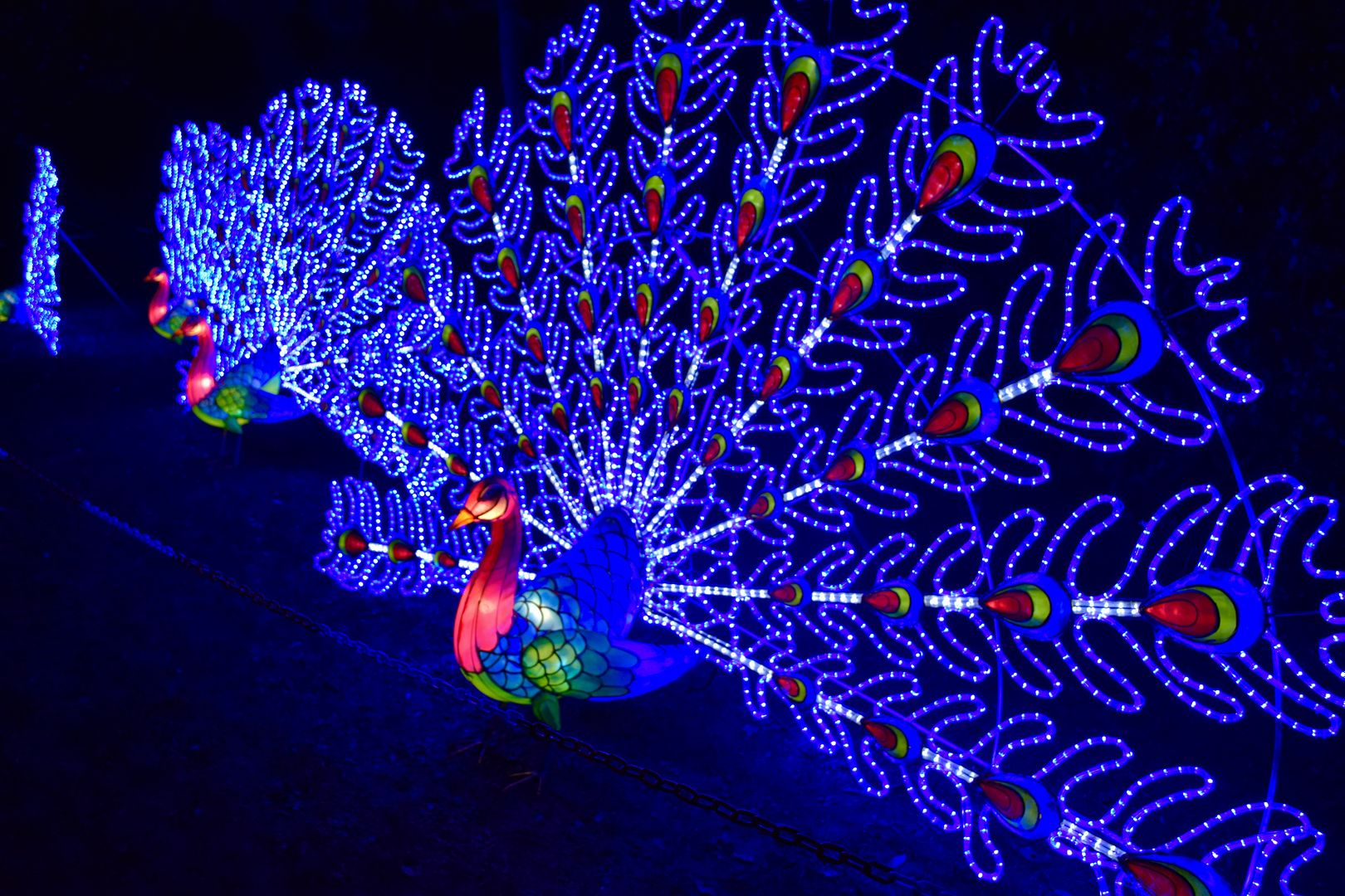 peacock Magical Lantern Festival Chiswick | The LDN Diaries
