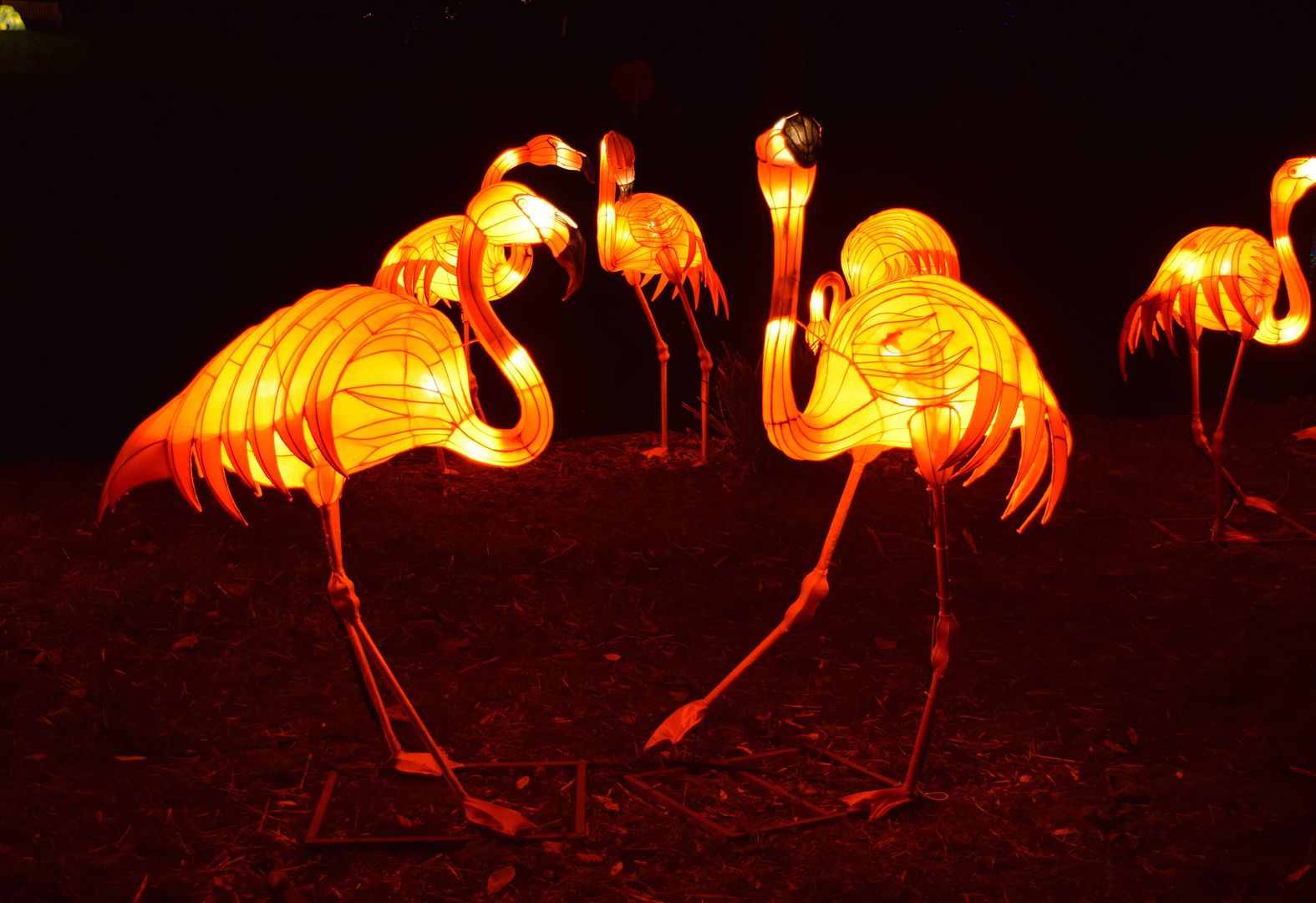Flamingos Magical Lantern Festival Chiswick | The LDN Diaries