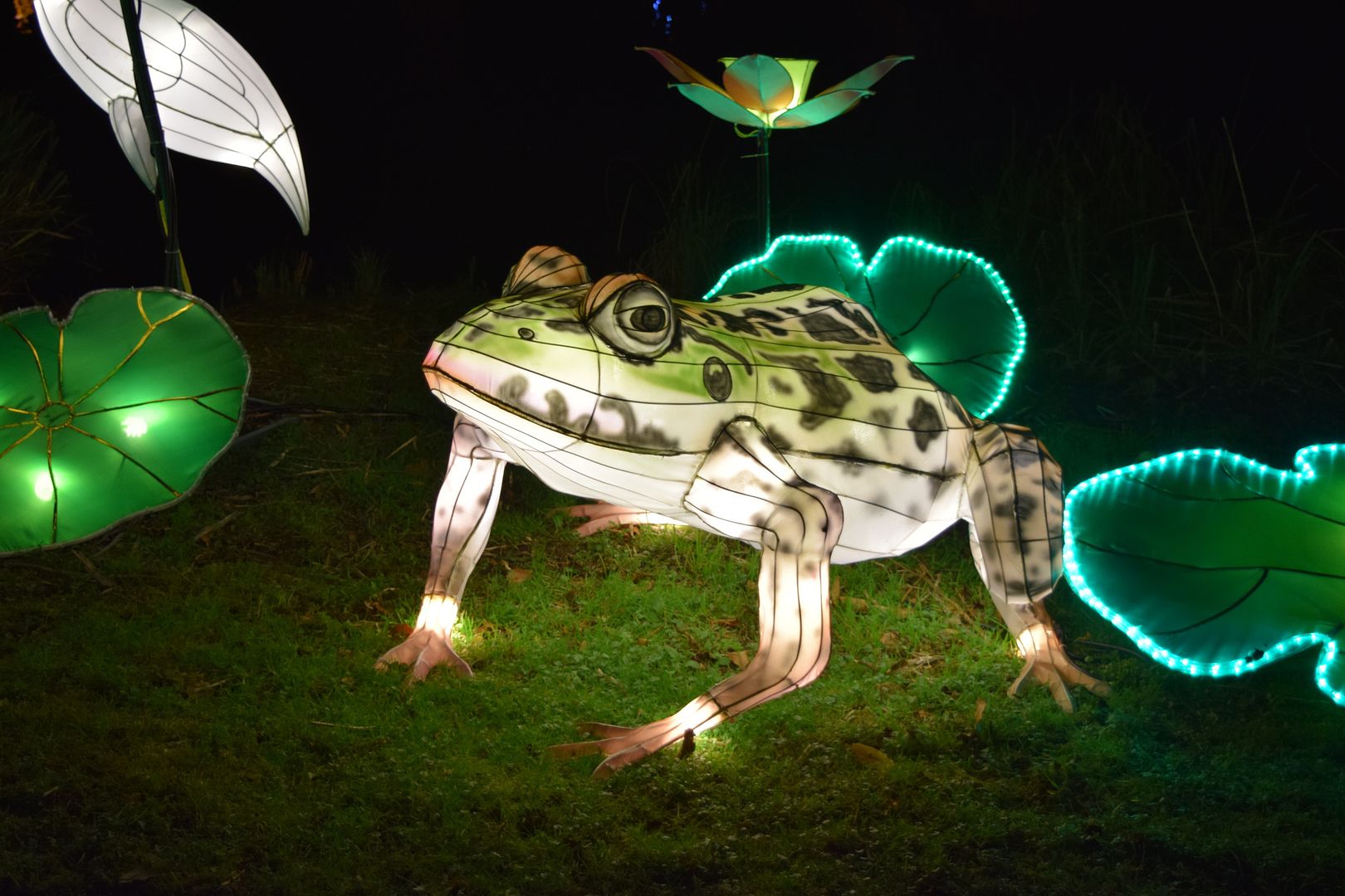 Toad Frog Magical Lantern Festival Chiswick | The LDN Diaries