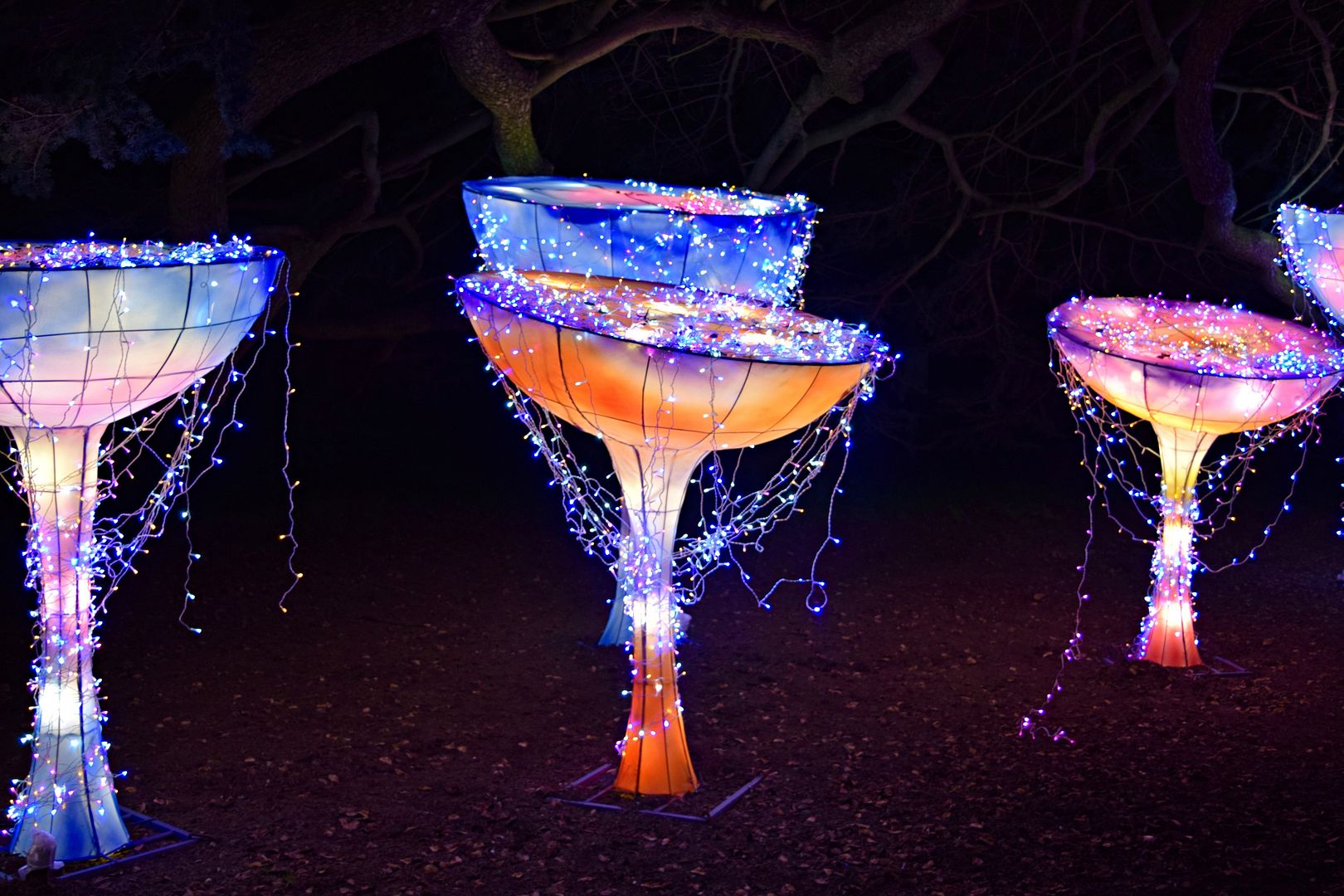 Magical Lantern Festival Chiswick | The LDN Diaries