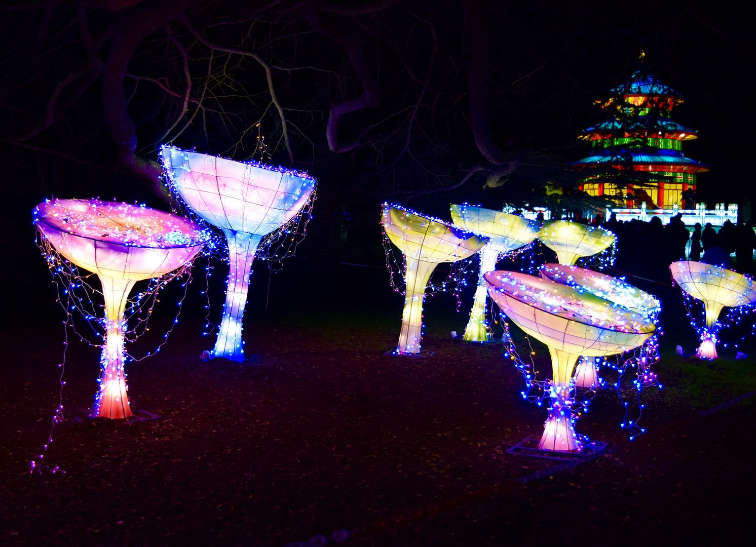 Magical Lantern Festival Chiswick | The LDN Diaries
