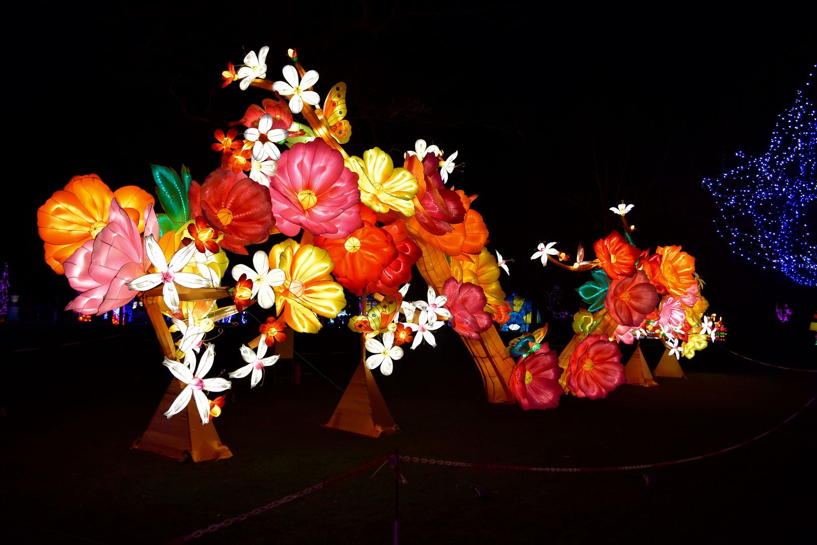 Flowers Magical Lantern Festival Chiswick | The LDN Diaries
