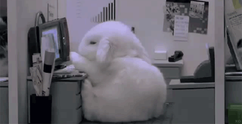 Bored Work Bunny